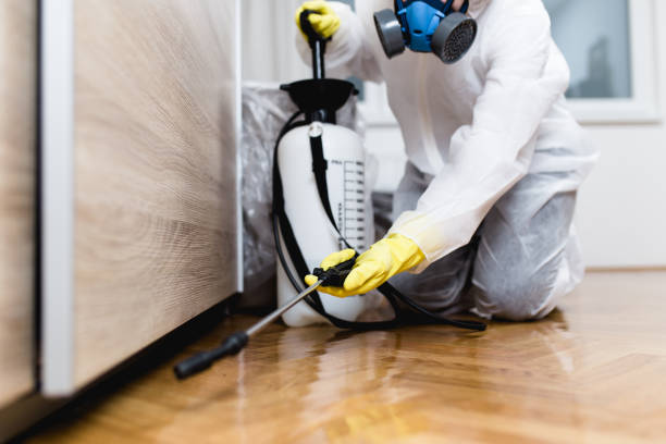 Best Cockroach Control Services  in Lula, GA