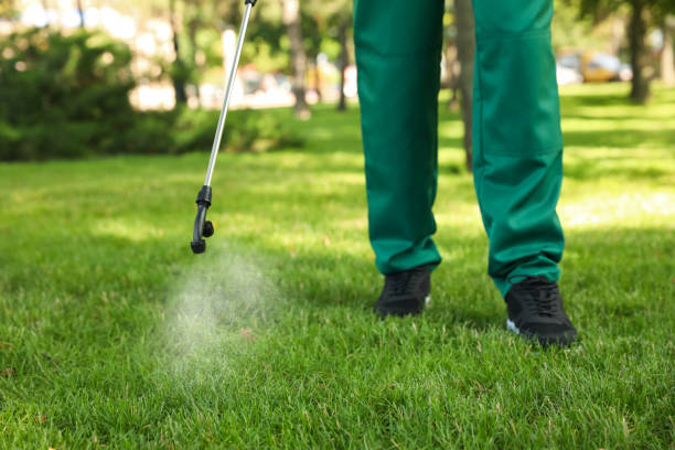 Best Best Pest Control Companies  in Lula, GA