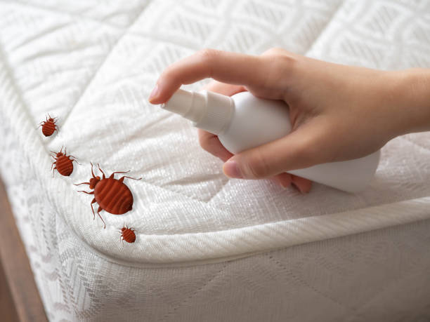 Professional Pest Control in Lula, GA