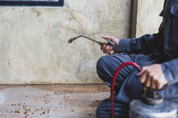 Best Emergency Pest Control  in Lula, GA